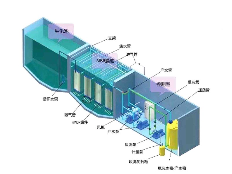 养猪场米兰体育·米兰官方端网站-米兰MiLan(中国)系统